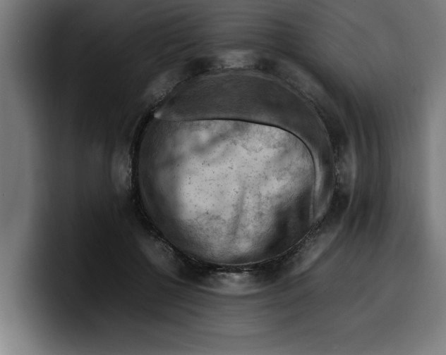 X0000099980552200806131401