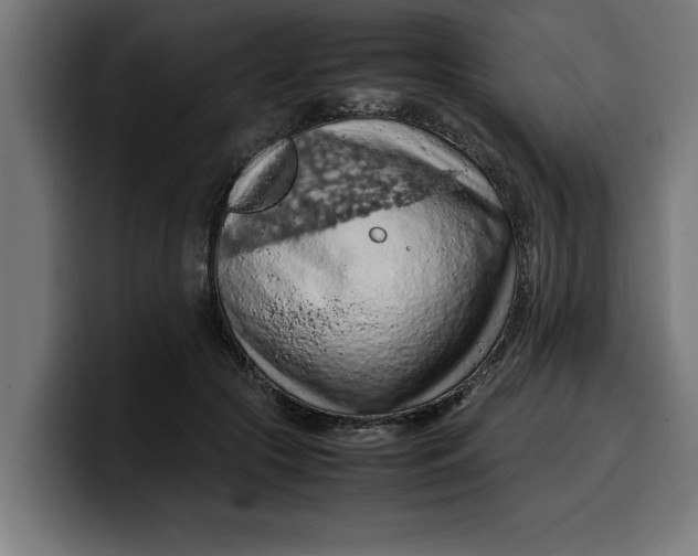 X0000099980553200806131401