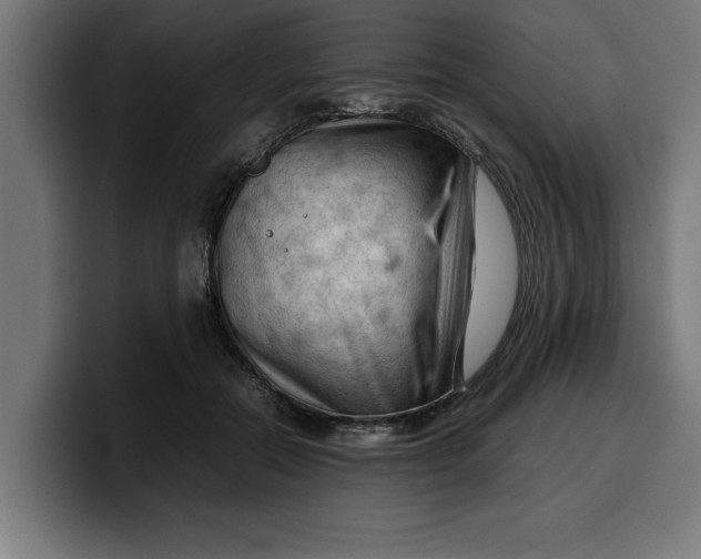 X0000099980554200806131401