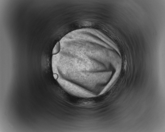 X0000099980555200806131401