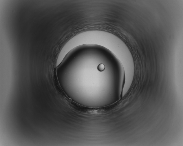 X0000099980558200806131401