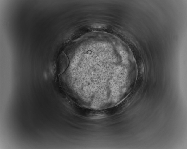 X0000099980559200806131401