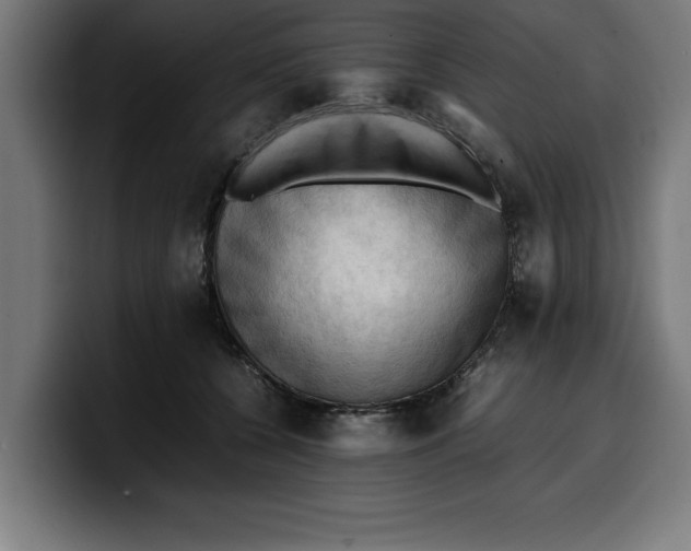 X0000099980560200806131401