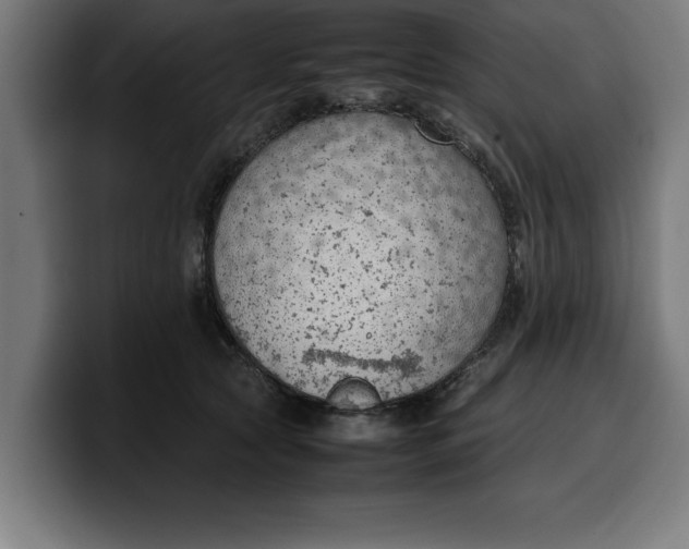 X0000099980561200806131401