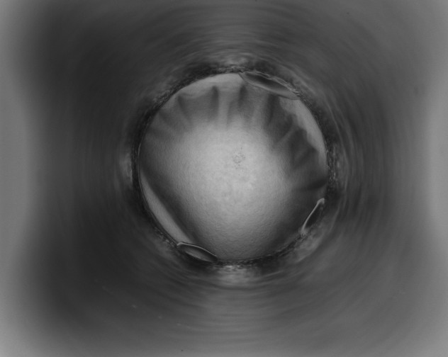 X0000099980562200806131401