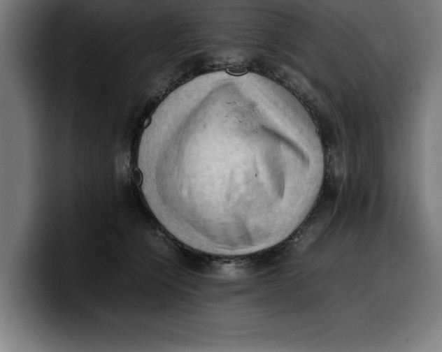 X0000099980564200806131401