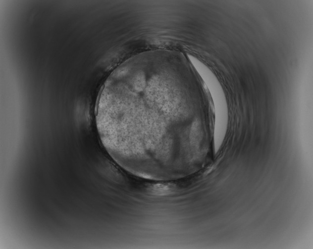 X0000099980566200806131401