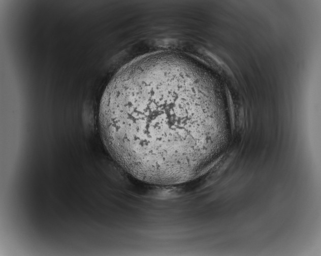 X0000099980569200806131401