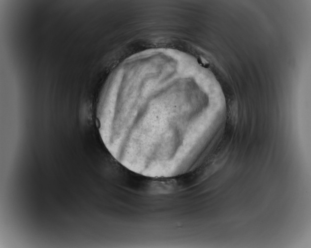 X0000099980571200806131401