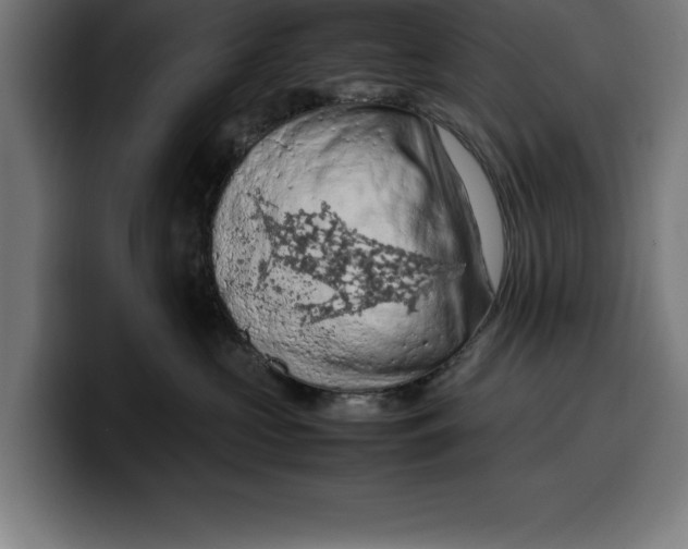 X0000099980573200806131401