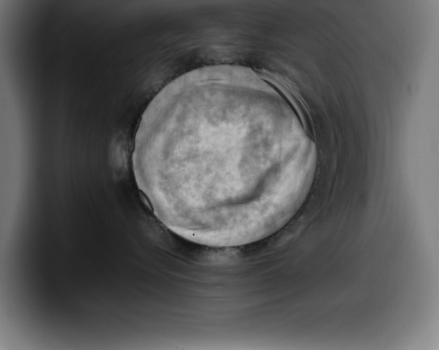 X0000099980576200806131401