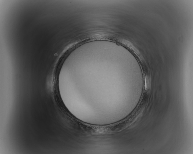 X0000099980579200806131401