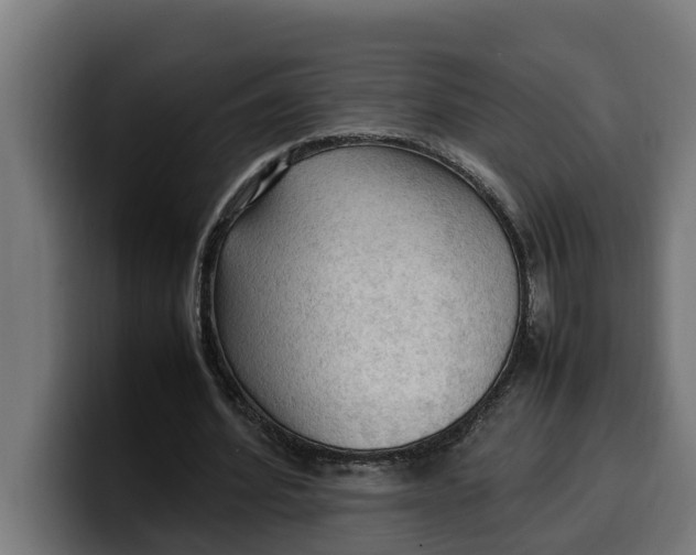 X0000099980580200806131401