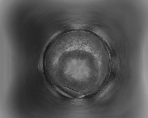 X0000099980581200806131401