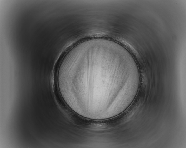 X0000099980582200806131401