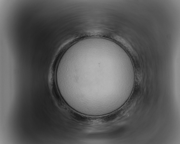 X0000099980583200806131401