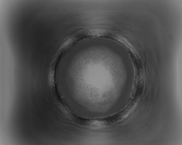 X0000099980585200806131401