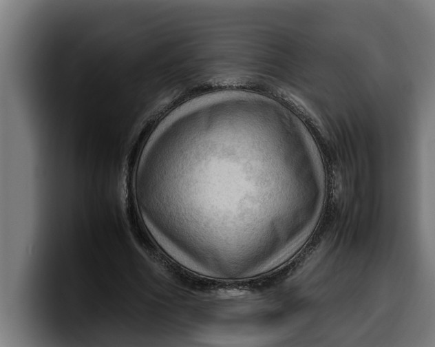 X0000099980586200806131401