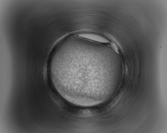 X0000099980588200806131401