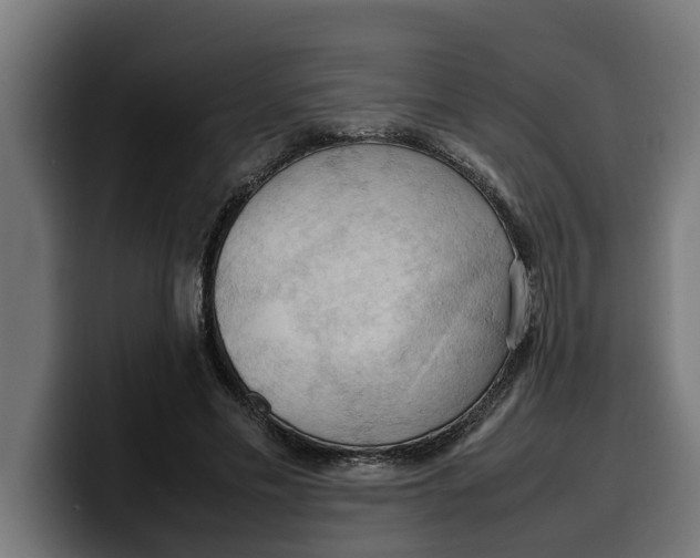 X0000099980589200806131401