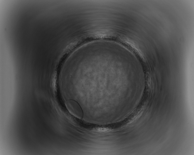 X0000099980590200806131401