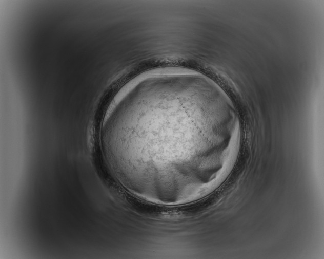 X0000099980591200806131401