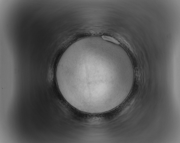 X0000099980593200806131401