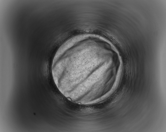 X0000099980594200806131401