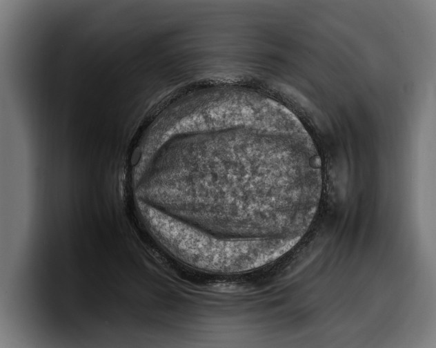 X0000099980596200806131401