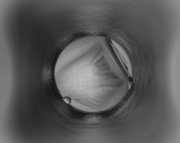 X0000099980597200806131401