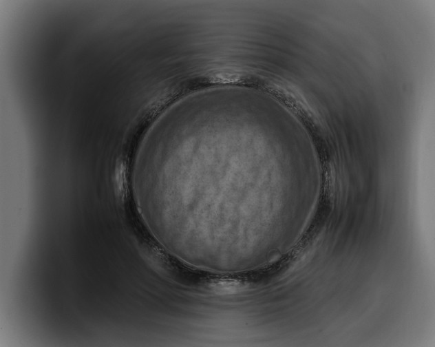 X0000099980598200806131401