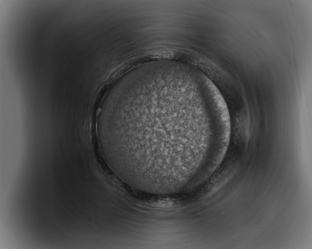 X0000099980600200806131401