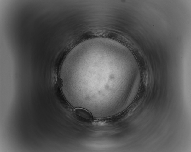 X0000099980602200806131400