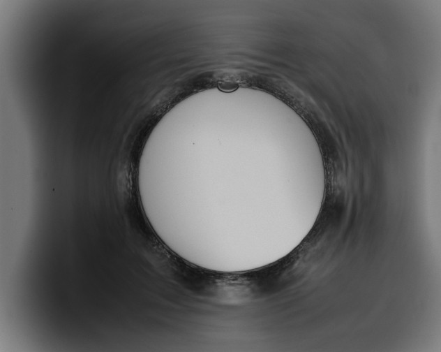 X0000099980603200806131400