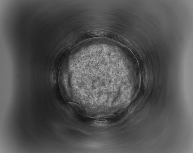 X0000099980606200806131400