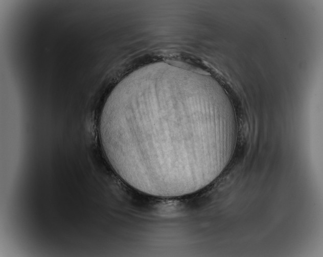 X0000099980609200806131400