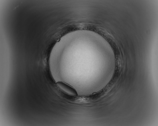 X0000099980611200806131400