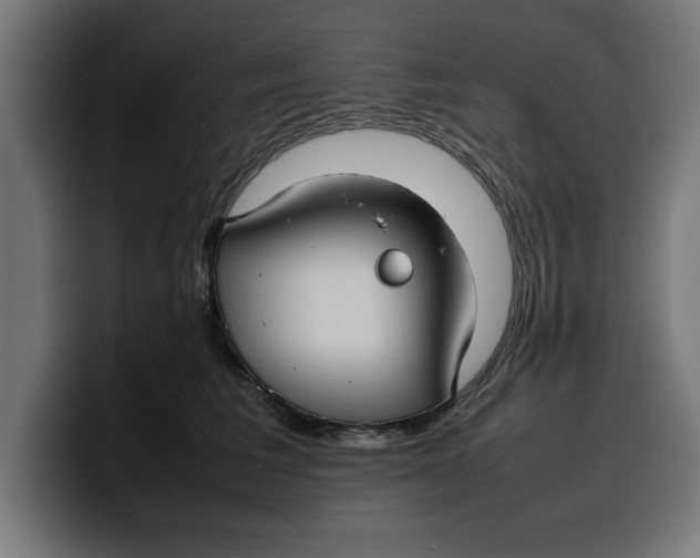 X0000099980613200806131400