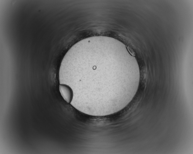 X0000099980615200806131400