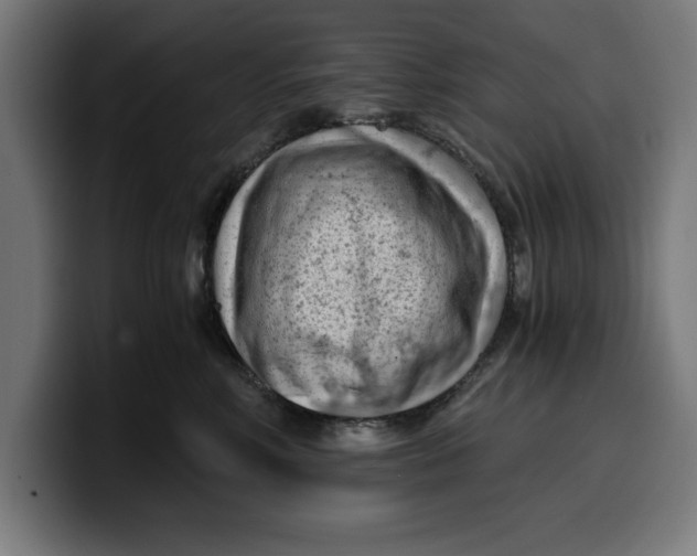 X0000099980618200806131400