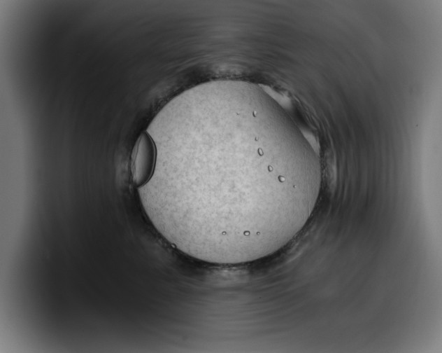 X0000099980619200806131400