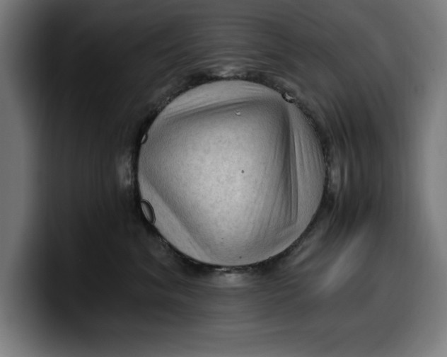 X0000099980620200806131400