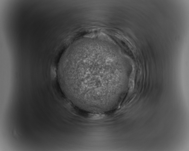 X0000099980621200806131400