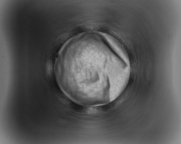 X0000099980623200806131400