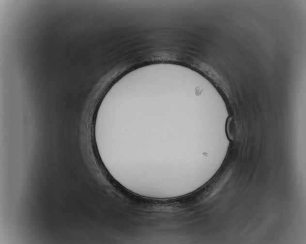 X0000099980625200806131359