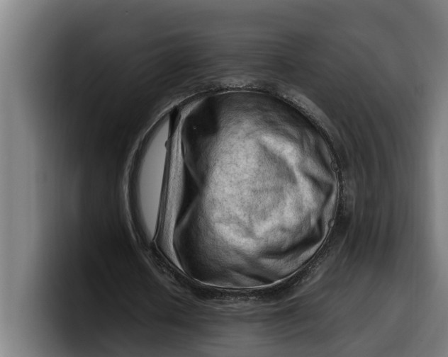 X0000099980626200806131359