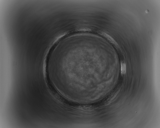 X0000099980627200806131359