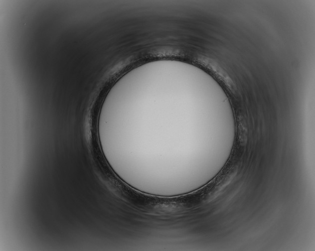 X0000099980631200806131400