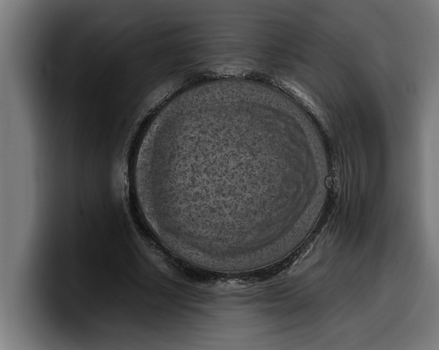 X0000099980634200806131400