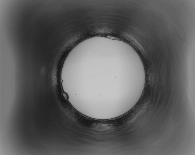 X0000099980635200806131400